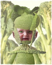 Cabbage Kid